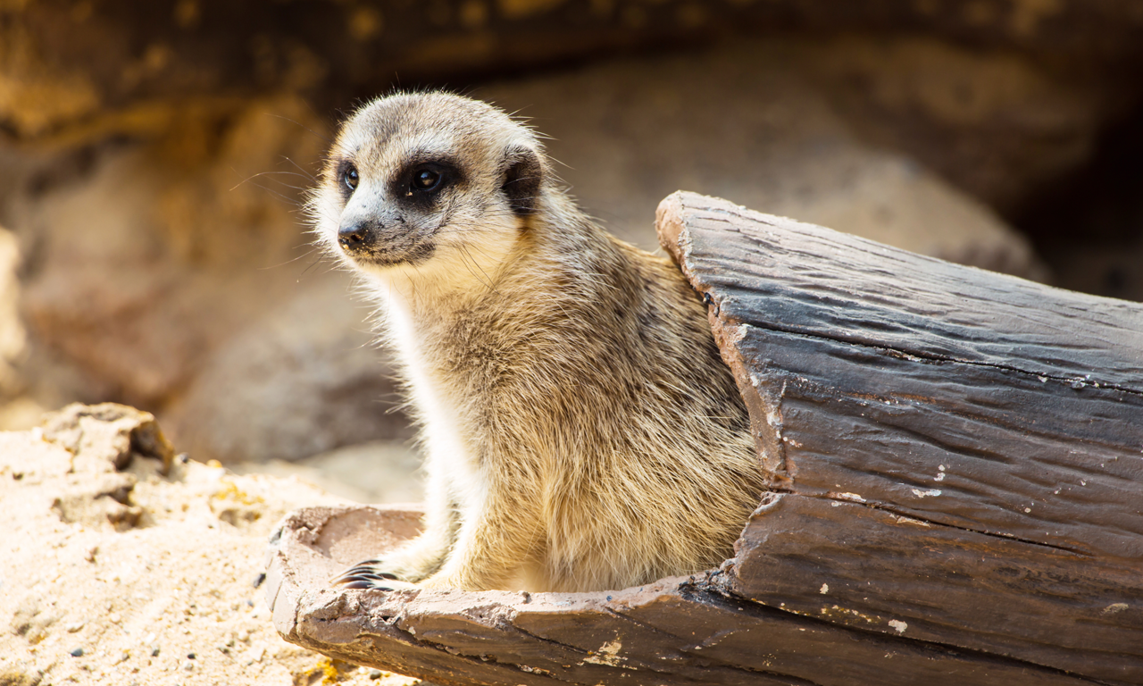 Tierpark Nadermann